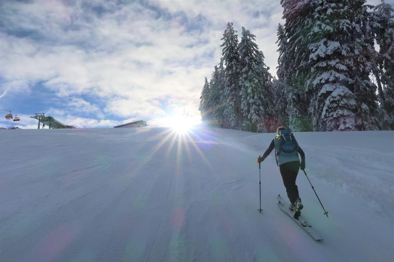 Mountain-Apart Simonhof Leilighet Maria Alm am Steinernen Meer Eksteriør bilde